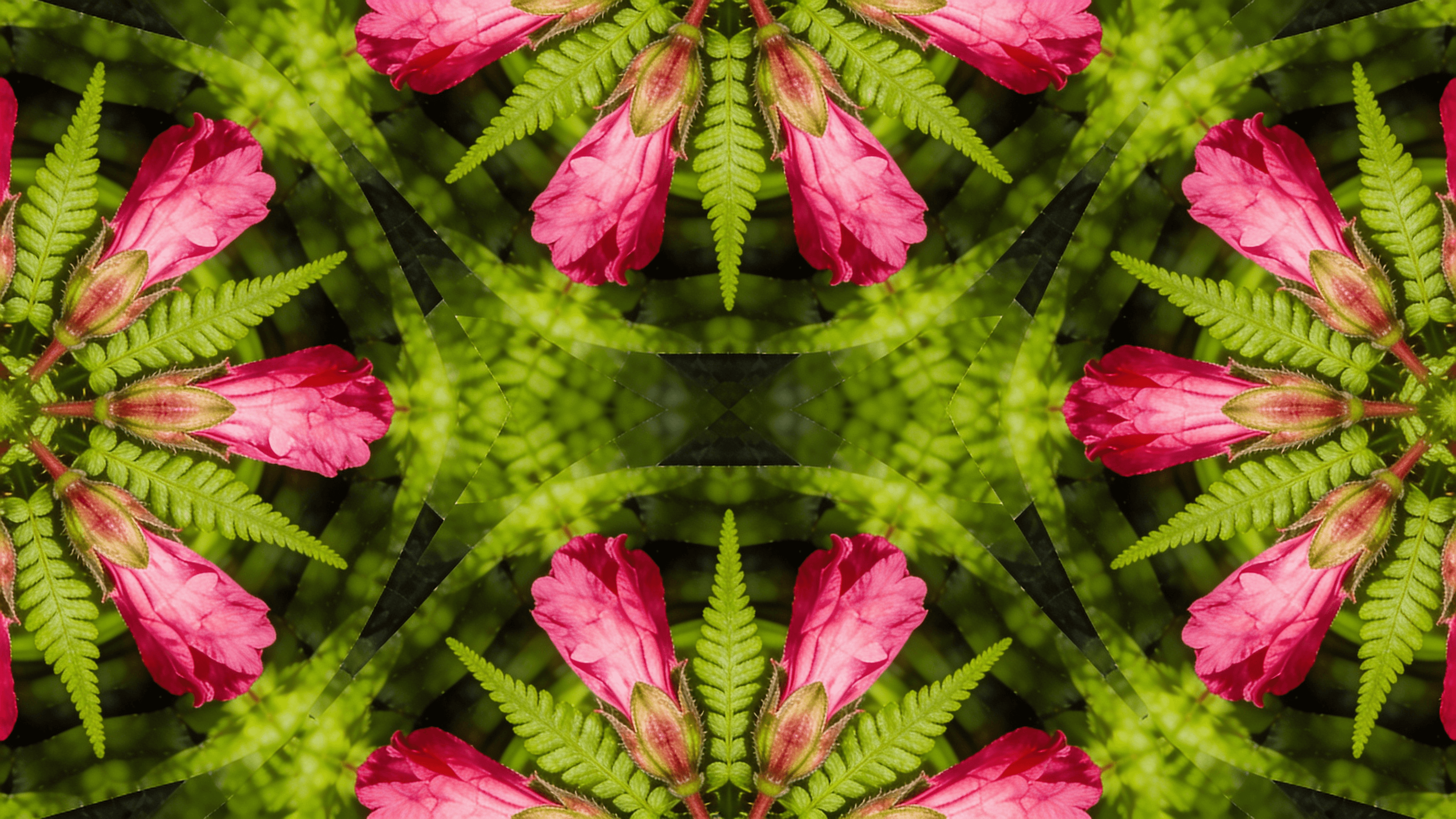 Psychedelic Album Art Guide